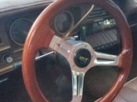 1975 Pontiac LeMans for sale in Michigan (ID-155018)