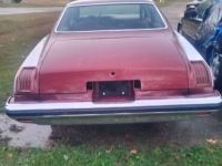 1975 Pontiac LeMans for sale in Michigan (ID-155018)