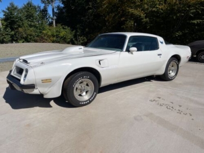 1975 Pontiac Trans Am for sale
