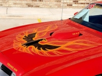 1975 Pontiac Trans Am for sale in Michigan (ID-110081)
