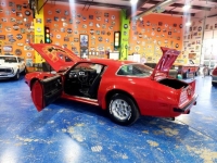 1975 Pontiac Trans Am for sale in Michigan (ID-110081)