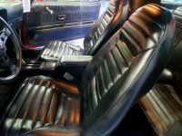 1975 Pontiac Trans Am for sale in Michigan (ID-110081)
