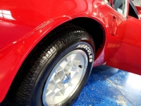1975 Pontiac Trans Am for sale in Michigan (ID-110081)