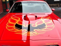 1975 Pontiac Trans Am for sale in Riverhead, New York (ID-126513)