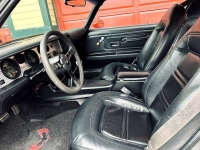 1975 Pontiac Trans Am for sale in Riverhead, New York (ID-126513)