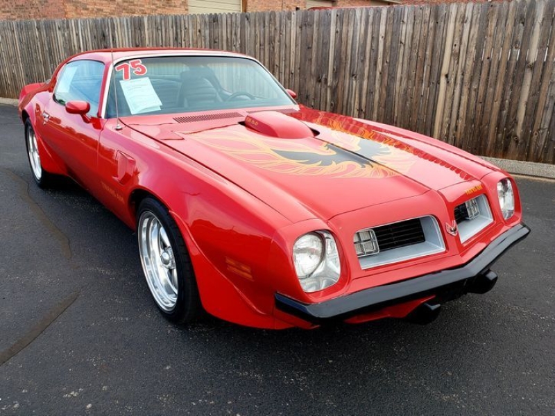 1975 Pontiac Trans Am for sale (ID-114979) 1975 Pontiac Trans Am for sale (ID-114979)