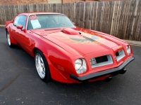 1975 Pontiac Trans Am for sale (ID-114979)