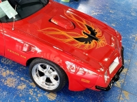 1975 Pontiac Trans Am for sale (ID-114979)