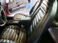 1975 Pontiac Trans Am for sale (ID-114979)