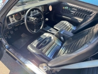 1975 Pontiac Trans Am for sale in Michigan (ID-143472)