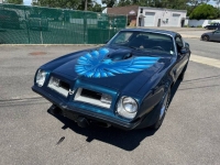 1975 Pontiac Trans Am for sale in Michigan (ID-143472)