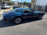 1975 Pontiac Trans Am for sale in Michigan (ID-143472)