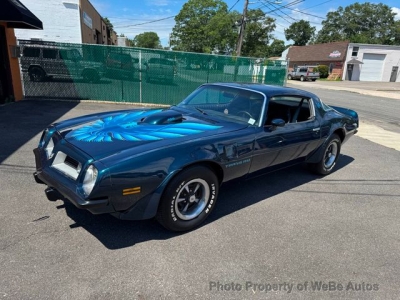 1975 Pontiac Trans Am for sale