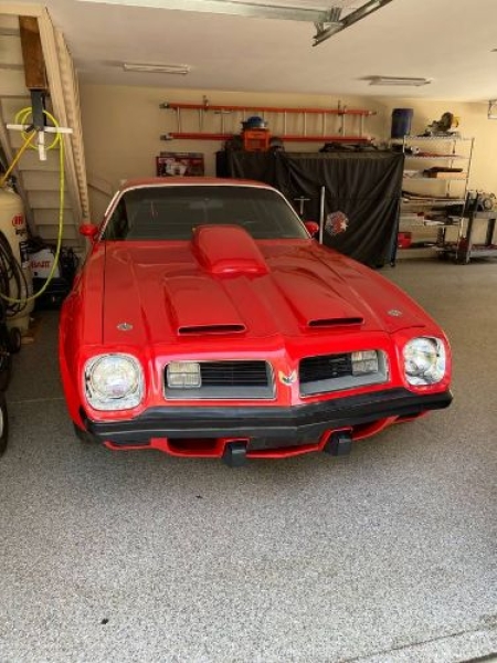 1975 Pontiac Trans Am for sale in Michigan (ID-143572)