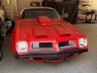 1975 Pontiac Trans Am for sale in Michigan (ID-143572)