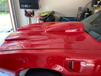 1975 Pontiac Trans Am for sale in Michigan (ID-143572)