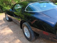 1975 Pontiac Trans Am for sale in Michigan (ID-144477)