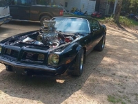 1975 Pontiac Trans Am for sale in Michigan (ID-144477)