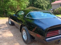 1975 Pontiac Trans Am for sale in Michigan (ID-144477)