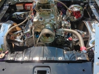 1975 Pontiac Trans Am for sale in Michigan (ID-144477)