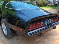 1975 Pontiac Trans Am for sale in Michigan (ID-144477)