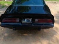 1975 Pontiac Trans Am for sale in Michigan (ID-144477)