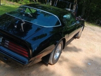 1975 Pontiac Trans Am for sale in Michigan (ID-144477)