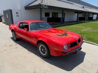 1975 Pontiac Trans Am for sale in Michigan (ID-163182)