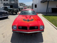 1975 Pontiac Trans Am for sale in Michigan (ID-163182)