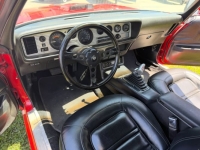 1975 Pontiac Trans Am for sale in Michigan (ID-163182)