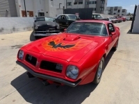1975 Pontiac Trans Am for sale in Michigan (ID-163182)