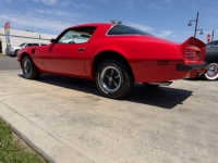 1975 Pontiac Trans Am for sale in Michigan (ID-163182)