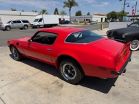 1975 Pontiac Trans Am for sale in Michigan (ID-163182)