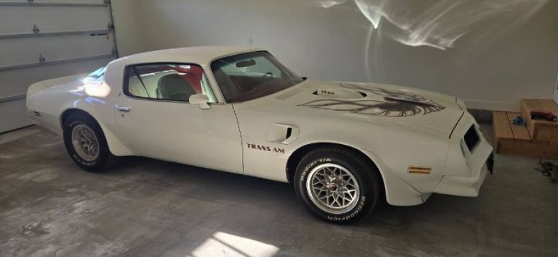 1975 Pontiac Trans Am for sale in Michigan (ID-164481)