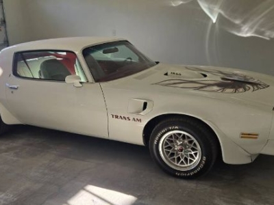 1975 Pontiac Trans Am for sale