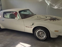 1975 Pontiac Trans Am for sale in Michigan (ID-164481)