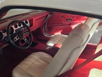 1975 Pontiac Trans Am for sale in Michigan (ID-164481)