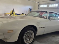 1975 Pontiac Trans Am for sale in Michigan (ID-164481)