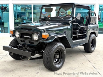 1975 Toyota Land Cruiser for sale in New York