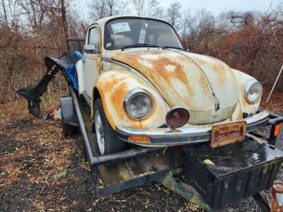 1975 Volkswagen Beetle for sale