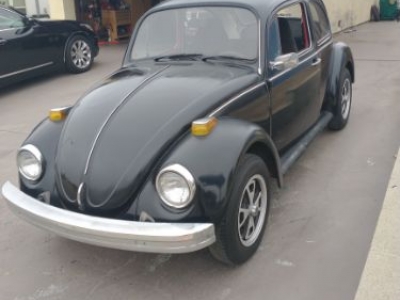 1975 Volkswagen Beetle for sale in Michigan