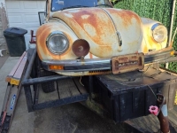 1975 Volkswagen Beetle for sale in Michigan (ID-133324)