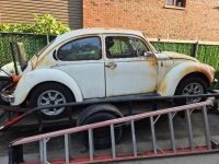 1975 Volkswagen Beetle for sale in Michigan (ID-133324)
