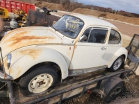 1975 Volkswagen Beetle for sale in Michigan (ID-133324)