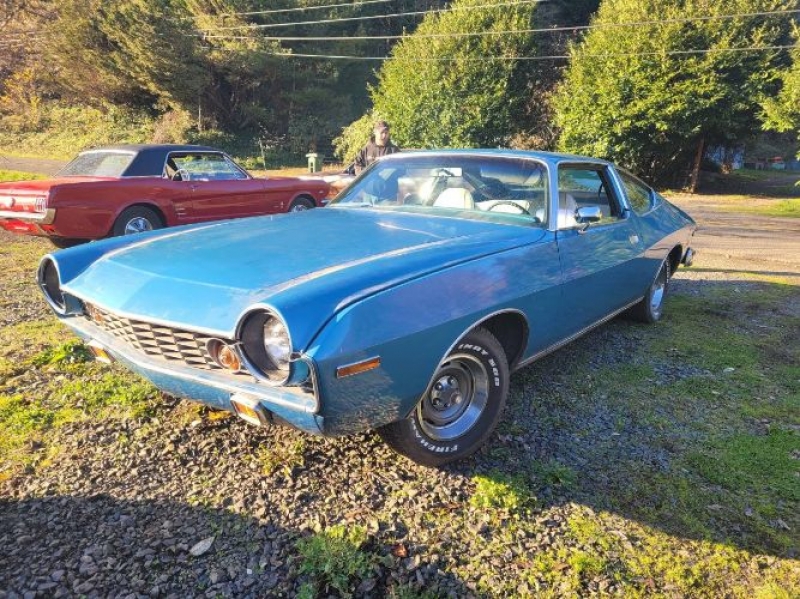 1976 AMC Matador for sale in Michigan (ID-87579)