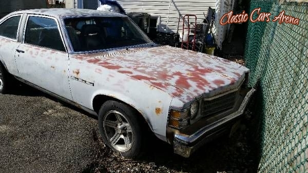 1976 Buick Skylark for sale in Michigan (ID-24631)