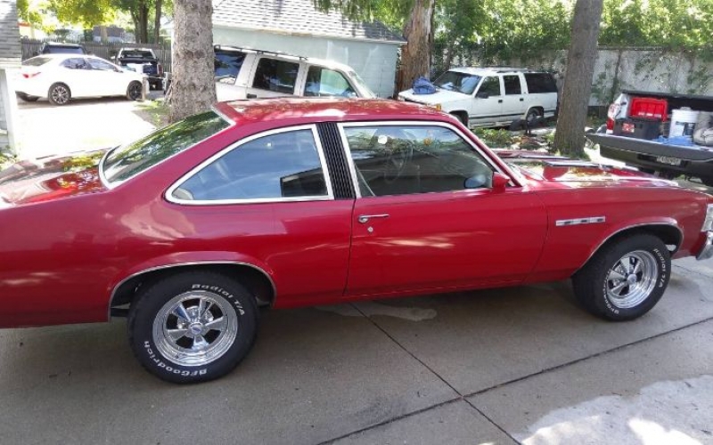 1976 Buick Skylark for sale in Michigan (ID-87706)