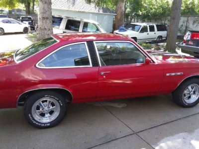 1976 Buick Skylark for sale