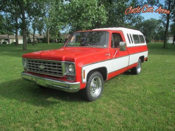 1976 Chevrolet Scottsdale for sale in Michigan (ID-19103)