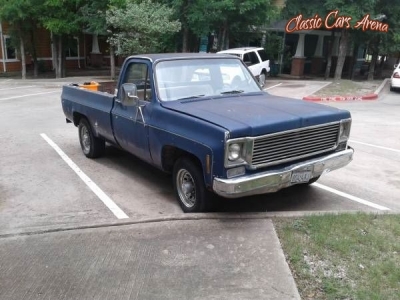 1976 Chevrolet C20 for sale